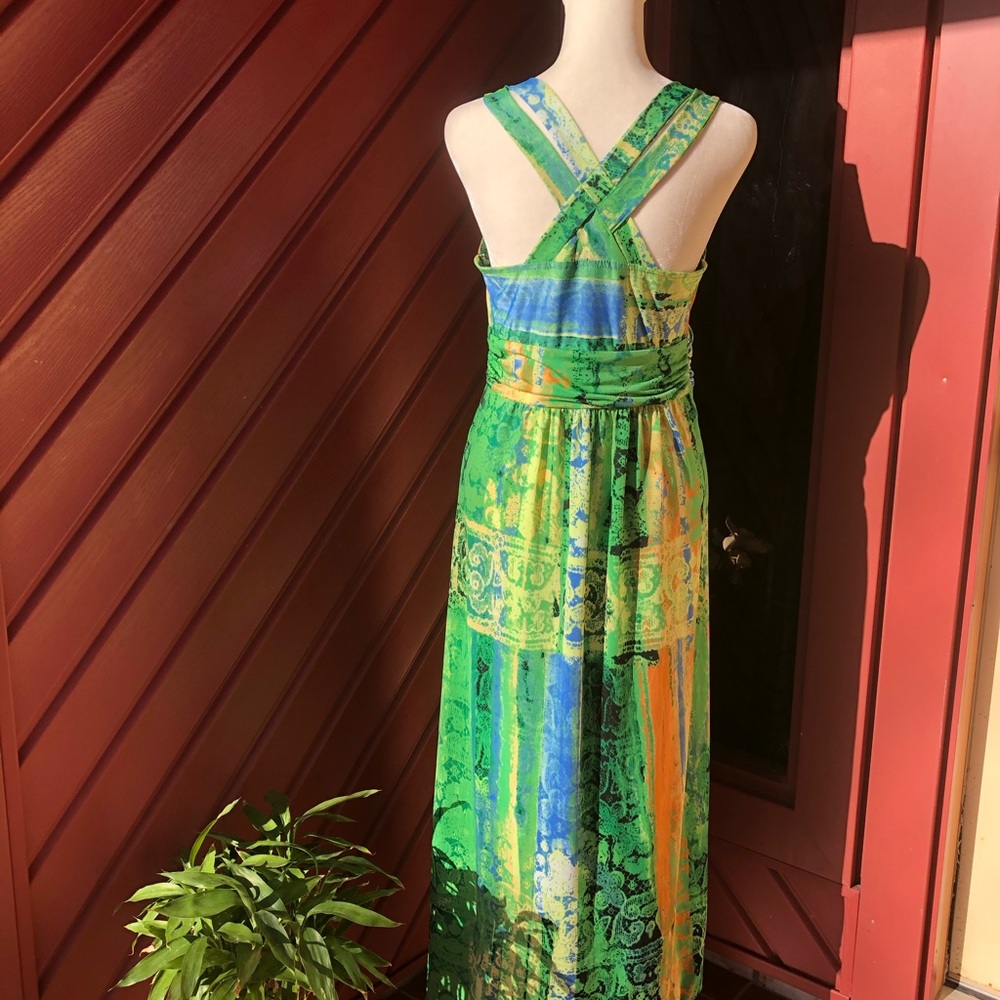 HOST PICK 646 main sundress - Picture 3 of 6